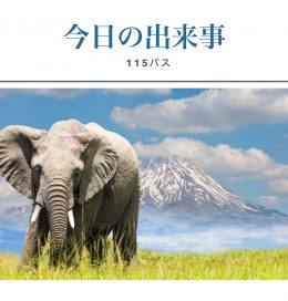 えんそくバス115号（2022-11-17）